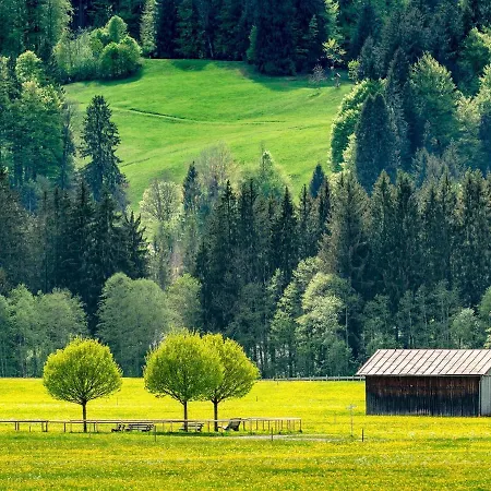 Das Ferienhaus Waltersdorf *